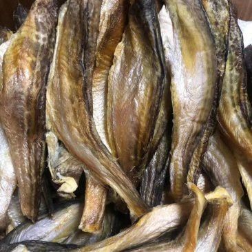 成都龍魚批發市場在哪里啊
