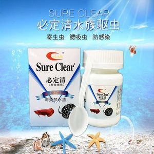 有沒有龍魚內服的內寄藥：關于龍魚內服藥物治療內寄的一些信息