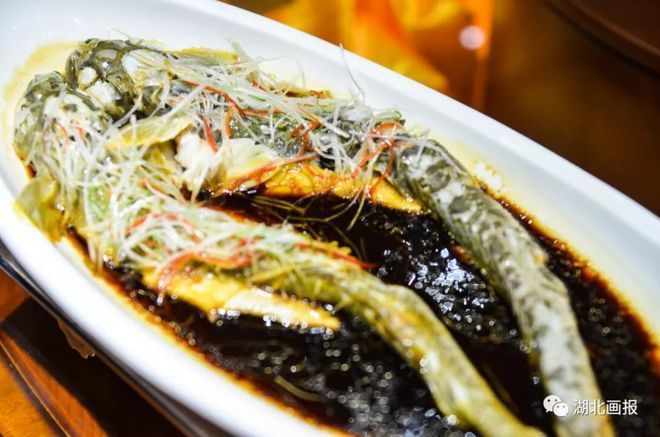 龍魚很兇猛嗎為什么不吃魚：龍魚為什么不吃魚