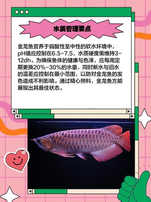 金龍魚鱗片發黑需要多久才能恢復？