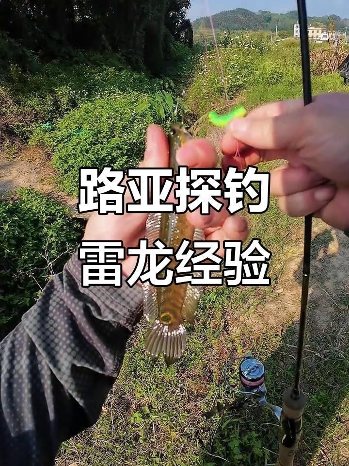 雷龍魚的最佳釣點(diǎn)在哪里？