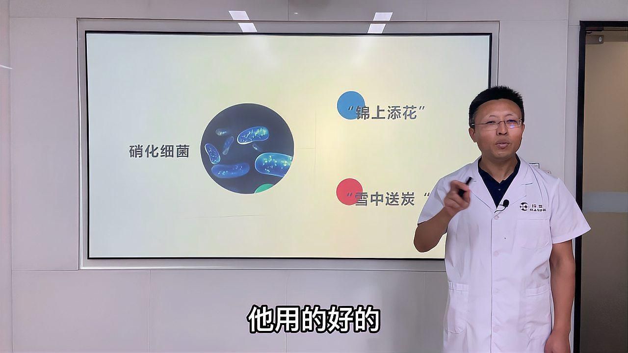 哪個牌子的消化細菌最好