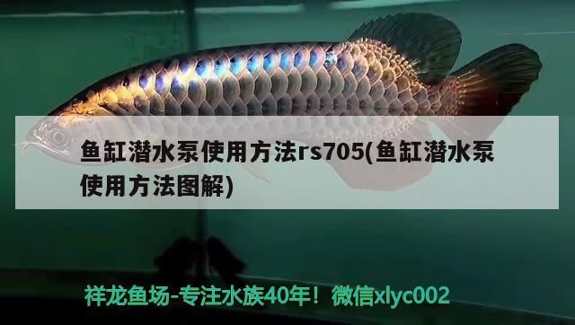 魚缸潛水泵使用方法rs705(魚缸潛水泵使用方法圖解) 魚缸潛水泵使用方法rs705(魚缸潛水泵使用方法圖解) 龍魚百科