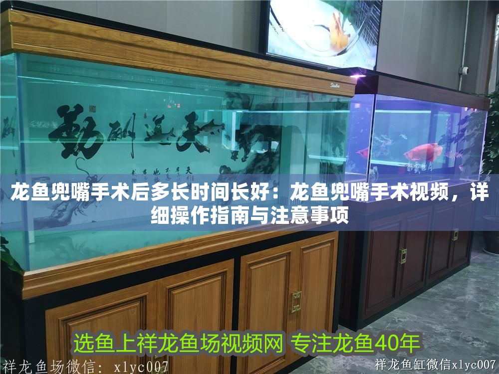龍魚(yú)兜嘴手術(shù)后多長(zhǎng)時(shí)間長(zhǎng)好：龍魚(yú)兜嘴手術(shù)視頻，詳細(xì)操作指南與注意事項(xiàng)