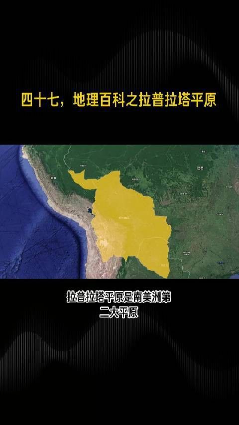 哪些龍貓品種比較健康？