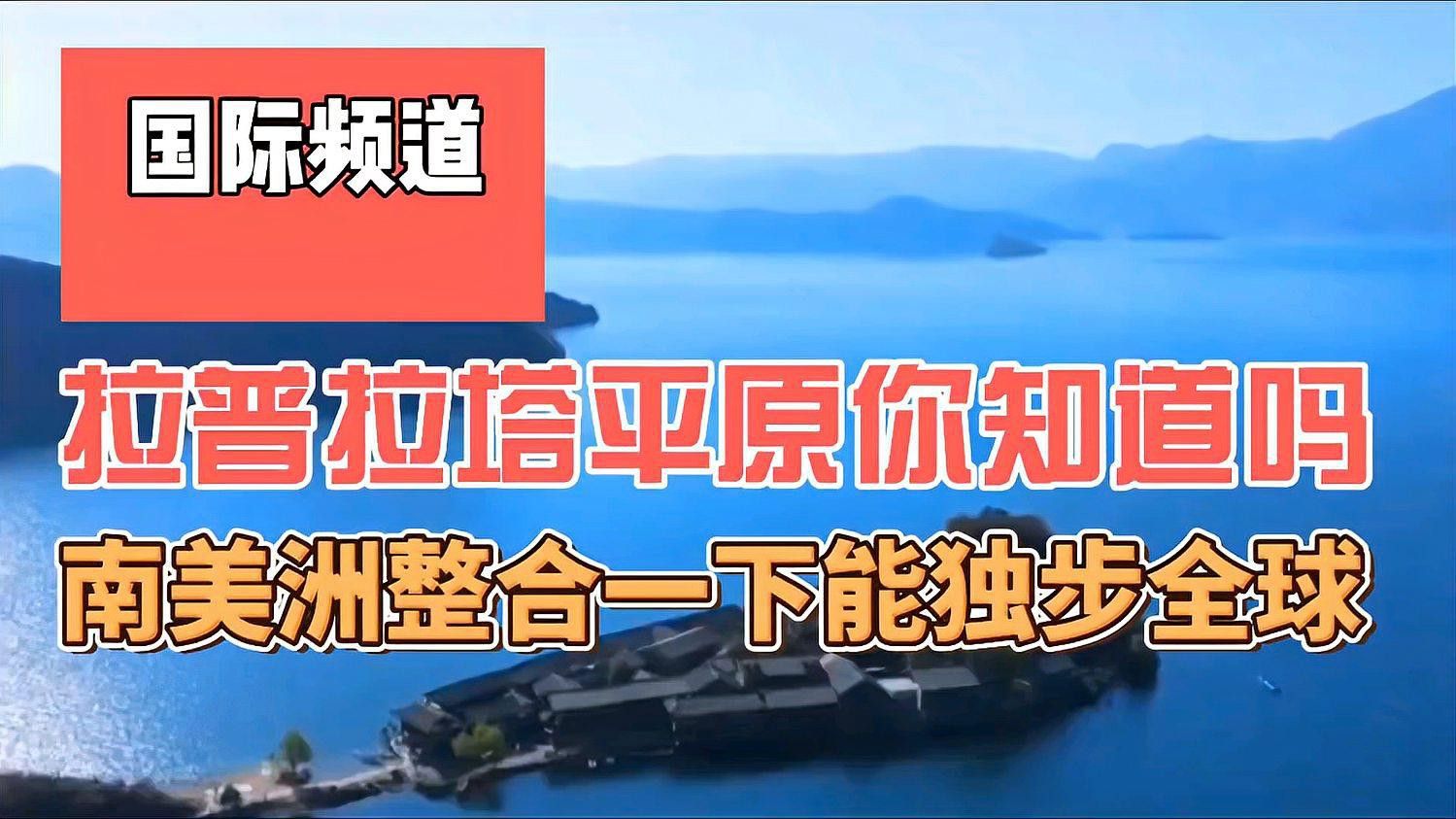 哪些龍貓品種比較健康？