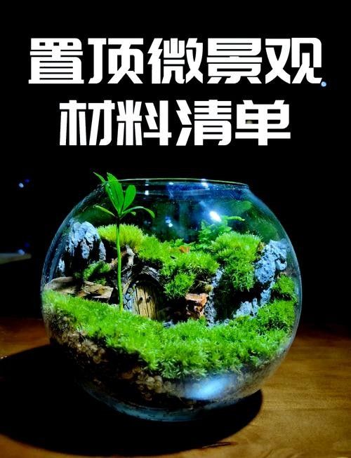 龍魚之家魚缸造景圖片大全 龍魚百科 第36張 龍魚之家魚缸造景圖片大全 龍魚之家魚缸造景圖片大全 龍魚百科 第36張