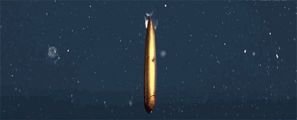 深海龍魚發光能持續多久？