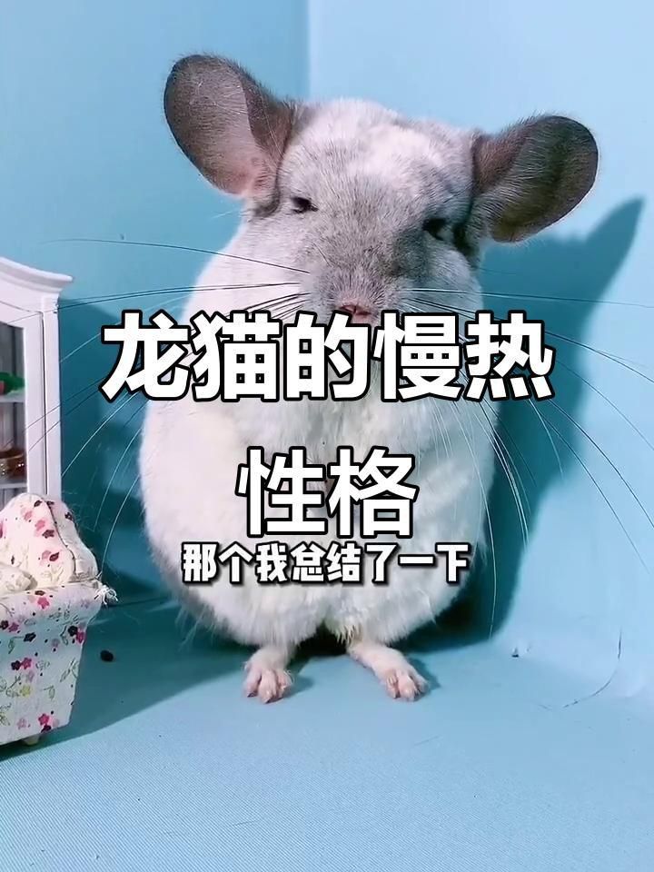 如何預(yù)防龍魚(yú)再次出現(xiàn)豎立現(xiàn)象？