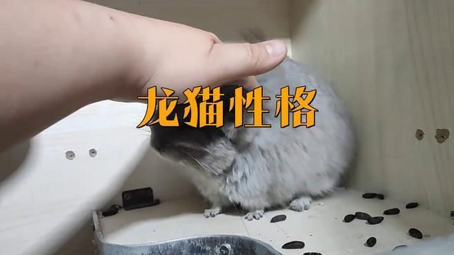 如何預(yù)防龍魚(yú)再次出現(xiàn)豎立現(xiàn)象？