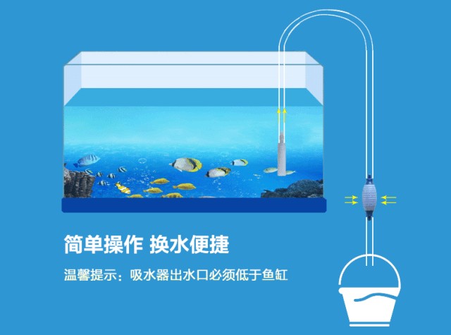 魚缸一般幾天換水最好，如何判斷魚缸水質好壞