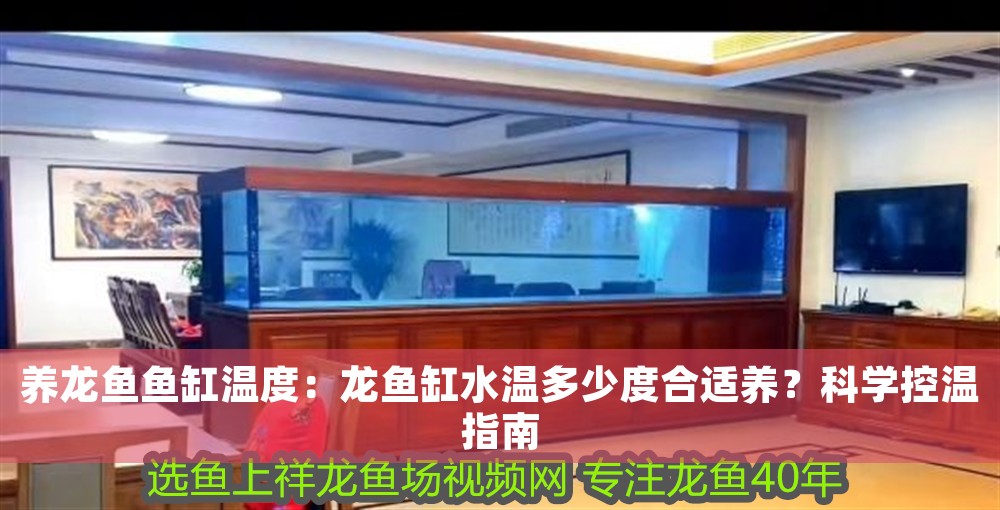 養(yǎng)龍魚魚缸溫度：龍魚缸水溫多少度合適養(yǎng)？科學(xué)控溫指南