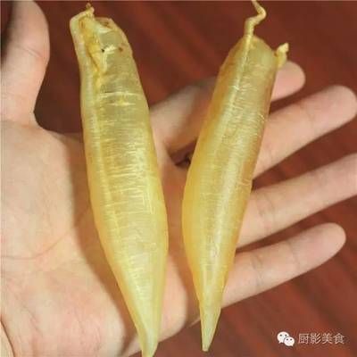 金龍魚是不是黃花魚
