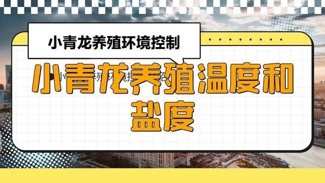 龍魚青龍圖片大全大圖