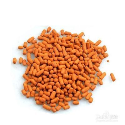 龍魚爛尾巴最簡單治療，龍魚爛尾巴怎么辦