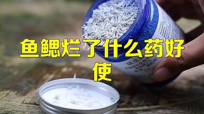 龍魚鰓蓋爛洞的最佳治療方法是什么？