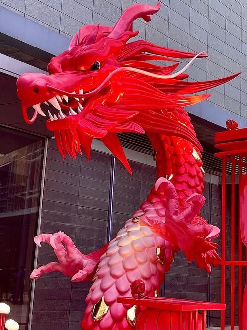 紅龍裝飾品哪個品牌最好？