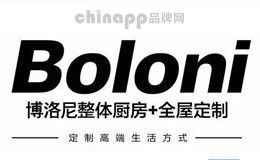 紅龍裝飾品哪個品牌最好？