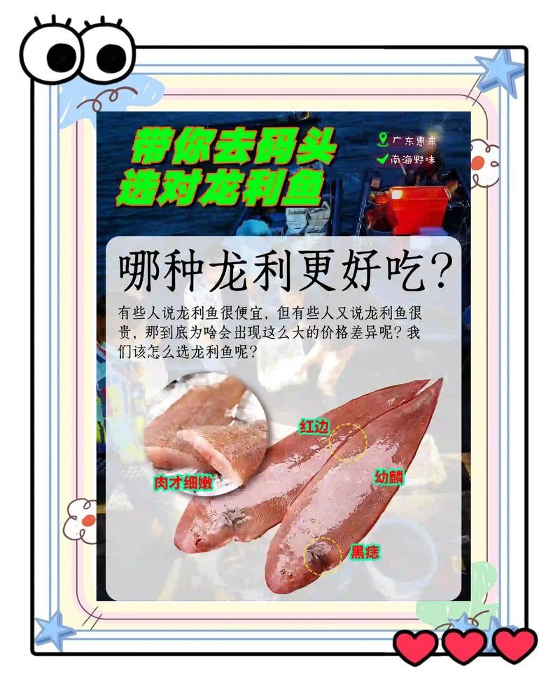 潮汕龍魚是什么魚類的