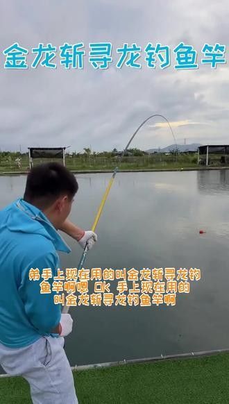 金龍魚魚桿價格圖片