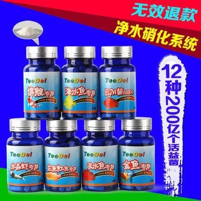 龍魚的魚鱗可以吃嗎：澳洲龍蝦是不是淡水生物？