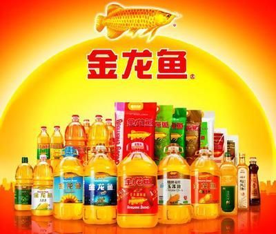 中國最貴的金龍魚多少錢（中國最貴的金龍魚價格20萬到數百萬元人民幣不等）