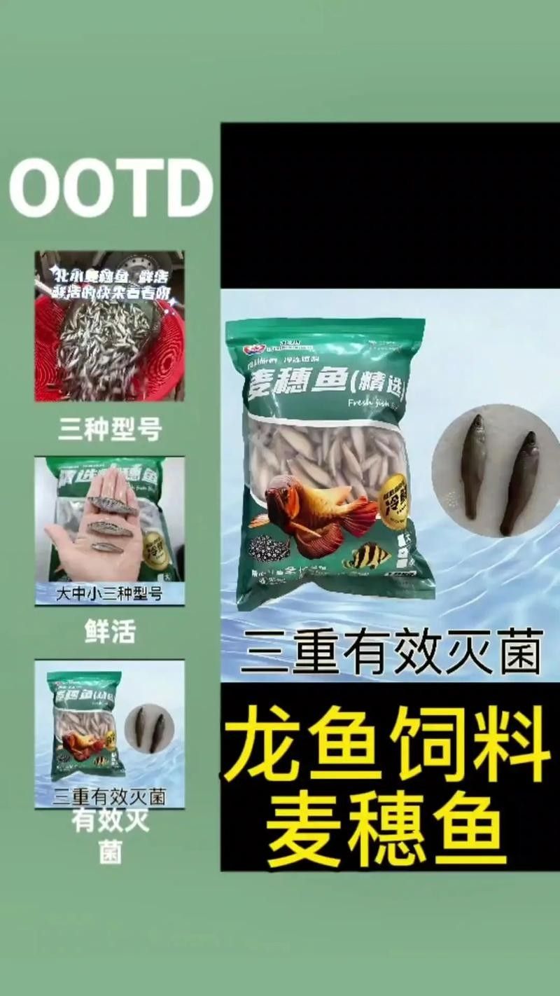 高背金龍魚(yú)發(fā)色過(guò)程圖片欣賞