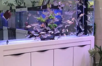 魚缸十大名牌排行榜
