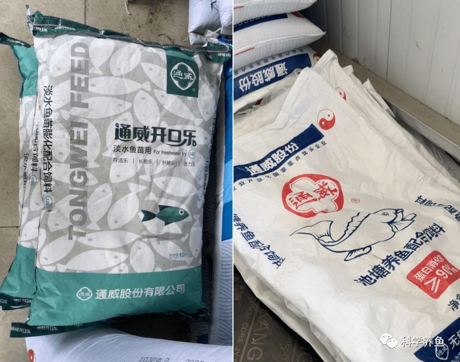 魚苗飼料選購指南:魚苗飼料的選購指南 龍魚百科 第5張 魚苗飼料選購指南:魚苗飼料的選購指南 魚苗飼料選購指南:魚苗飼料的選購指南 龍魚百科 第5張
