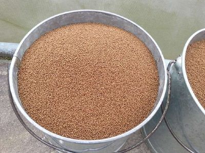 魚苗飼料選購指南:魚苗飼料的選購指南 龍魚百科 第3張 魚苗飼料選購指南:魚苗飼料的選購指南 魚苗飼料選購指南:魚苗飼料的選購指南 龍魚百科 第3張