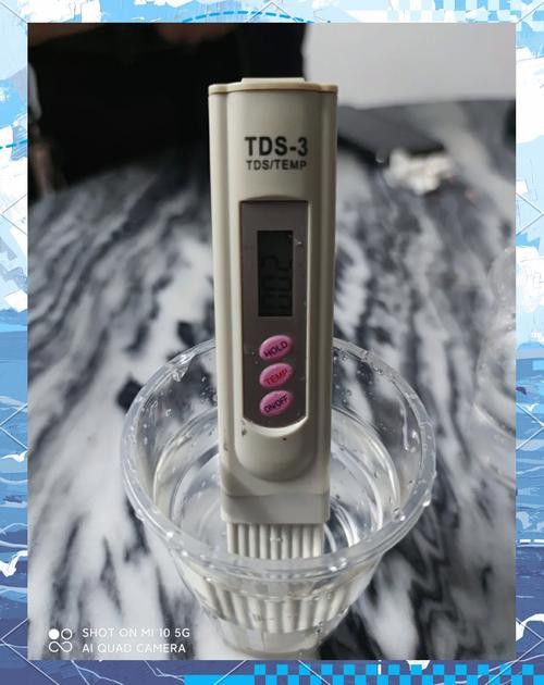 哪種水質檢測儀最適合藍底龍魚？
