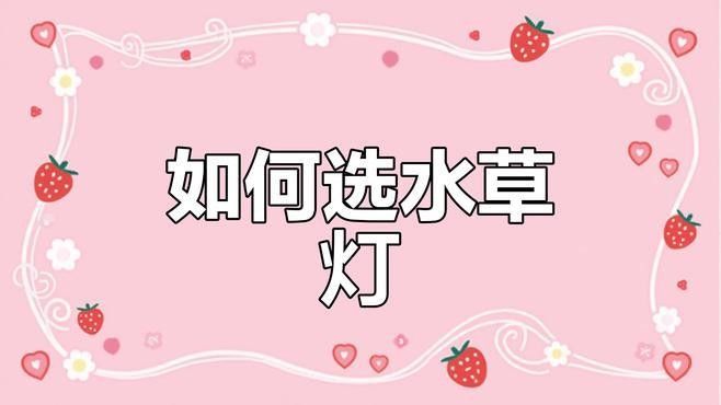龍魚(yú)缸改草缸用什么燈