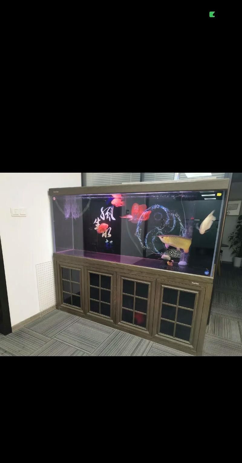 東海龍宮御龍魚缸介紹圖片欣賞