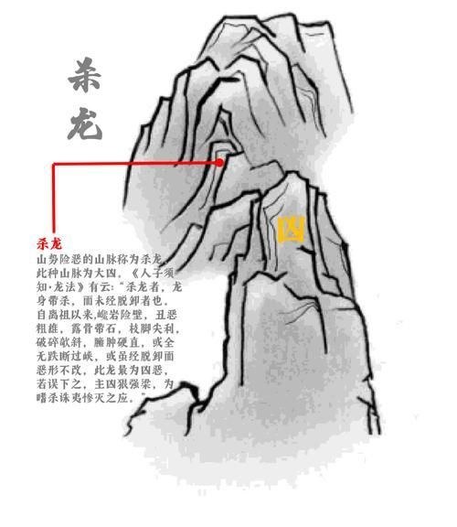 風(fēng)水龍最簡單三個圖片 風(fēng)水龍最簡單三個圖片 龍魚百科 第2張