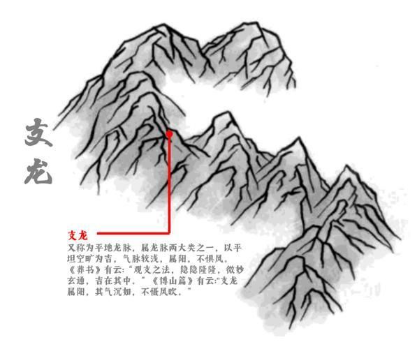 風(fēng)水龍最簡單三個圖片 風(fēng)水龍最簡單三個圖片 龍魚百科 第3張