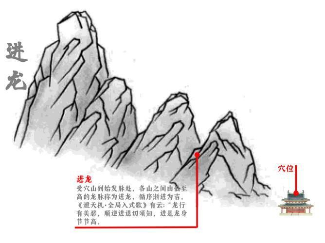 風(fēng)水龍最簡單三個圖片 風(fēng)水龍最簡單三個圖片 龍魚百科 第6張