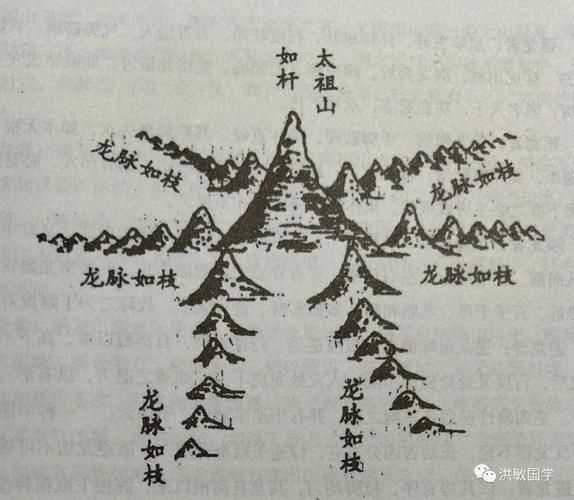 風(fēng)水龍最簡單三個圖片 風(fēng)水龍最簡單三個圖片 龍魚百科 第16張