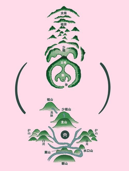 風(fēng)水龍最簡單三個圖片 風(fēng)水龍最簡單三個圖片 龍魚百科 第19張