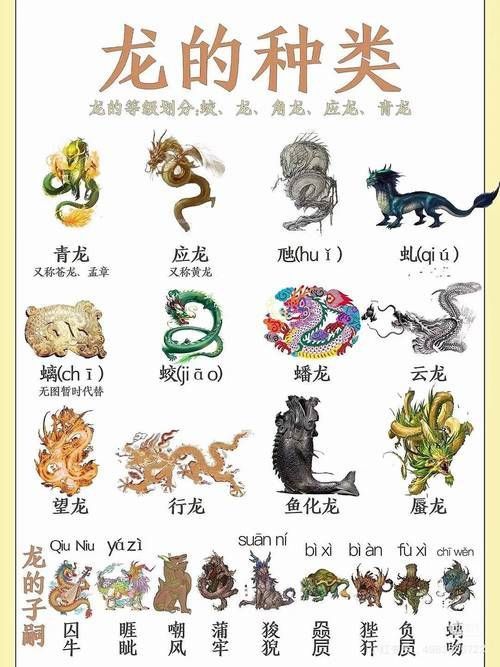 風(fēng)水龍最簡單三個圖片 風(fēng)水龍最簡單三個圖片 龍魚百科 第21張