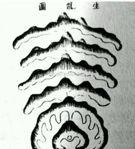 風(fēng)水龍最簡單三個圖片 風(fēng)水龍最簡單三個圖片 龍魚百科 第28張