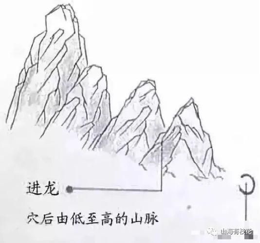 風(fēng)水龍最簡單三個圖片 風(fēng)水龍最簡單三個圖片 龍魚百科 第26張
