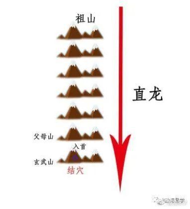 風(fēng)水龍最簡單三個圖片 風(fēng)水龍最簡單三個圖片 龍魚百科 第30張