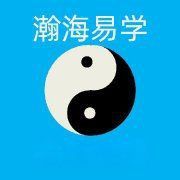 風(fēng)水龍最簡單三個圖片 風(fēng)水龍最簡單三個圖片 龍魚百科 第31張