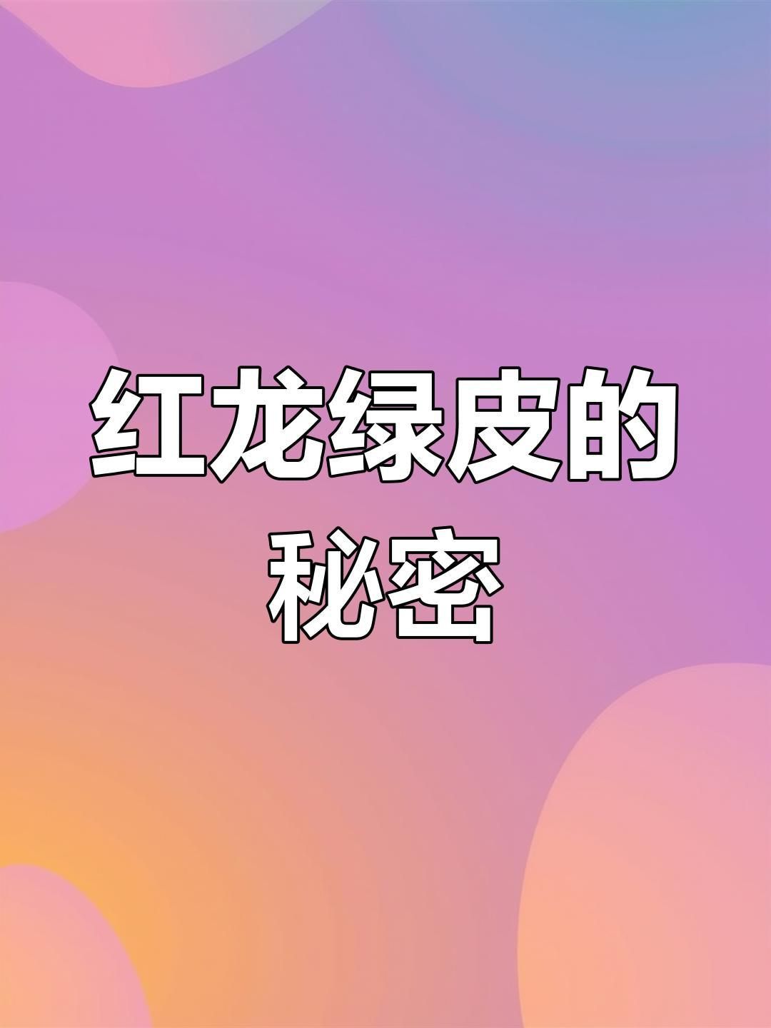 綠皮紅龍最建議買三個顏色