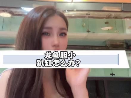 兩條金龍魚一公一母好嗎（兩條金龍魚一公一母是否好） 兩條金龍魚一公一母好嗎（兩條金龍魚一公一母是否好） 龍魚百科 第2張