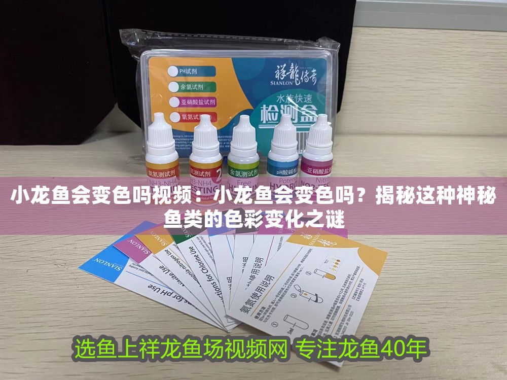 龍魚幼苗多大能繁殖了：龍魚幼苗多大能繁殖