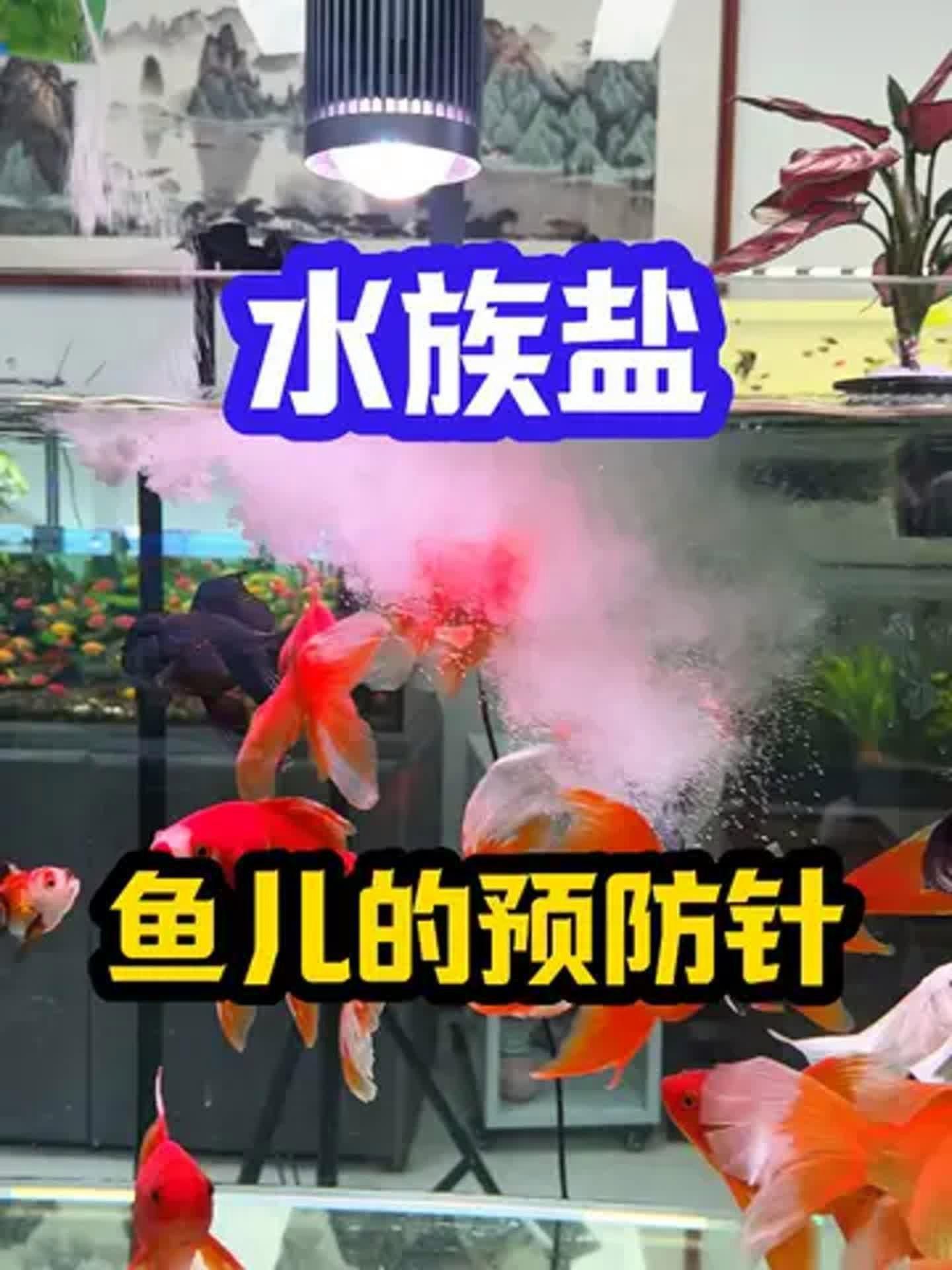 馬印水族魚缸用什么鹽