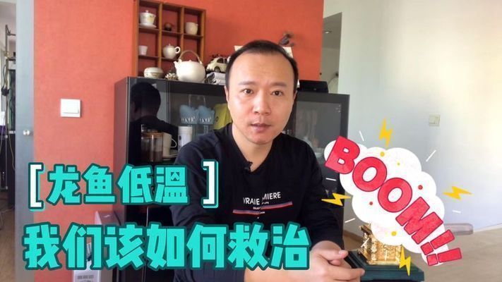 龍魚溫度低翻了：龍魚水溫過低境下的適應(yīng)性問題，如何處理龍魚溫度低翻