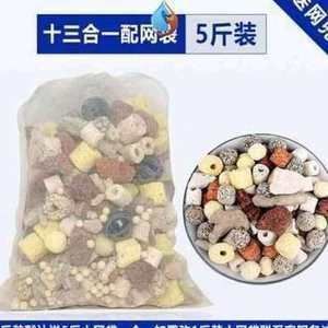 龍魚溫度低翻了：龍魚水溫過低境下的適應(yīng)性問題，如何處理龍魚溫度低翻