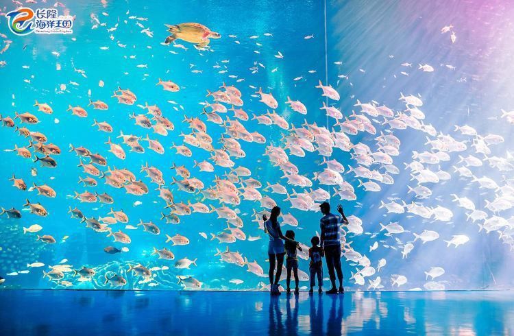 珠海魚缸 首選龍魚世家水族館
